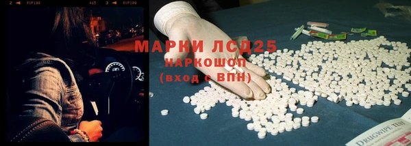 стаф Аркадак