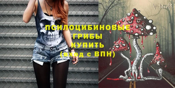 стаф Аркадак