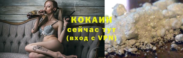 стаф Аркадак