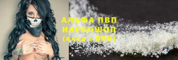 стаф Аркадак