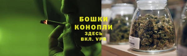 герыч Кедровый