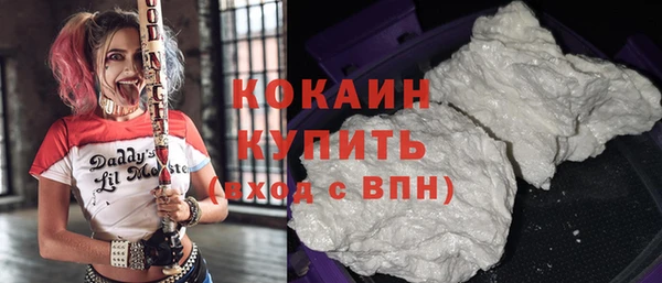 стаф Аркадак