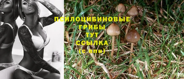 кокс Арсеньев