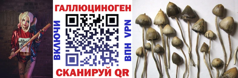 Галлюциногенные грибы мицелий  ОМГ ОМГ зеркало  Ковылкино 